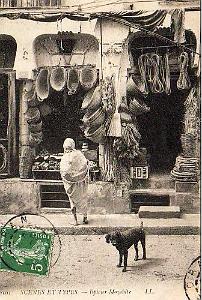 Images d'Algerie 199